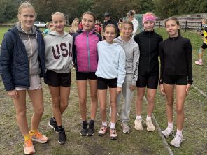 Obrázek k aktualitě Krajské kolo v přespolním běhu
