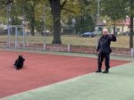 Fotografie img-1828_original.jpg