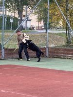 Fotografie img-1834_original.jpg