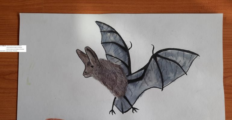 Výtvarná soutěž: MŮJ SOUSED NETOPÝR