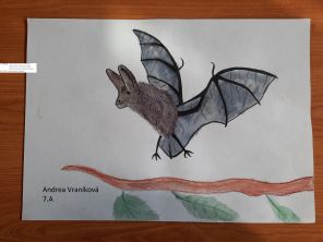 Obrázek k aktualitě Výtvarná soutěž: MŮJ SOUSED NETOPÝR