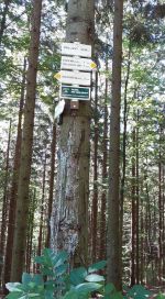 Fotografie 10-fotka_original.jpg