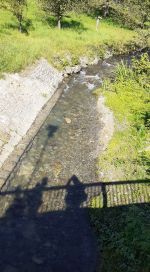 Fotografie 11-fotka_original.jpg