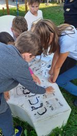 Fotografie ak-6-78_original.jpg