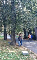 Fotografie 20211004-100602_original.jpg