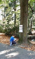 Fotografie 20211004-120025_original.jpg