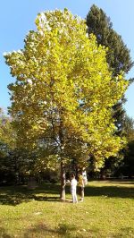 Fotografie 20211005-100717_original.jpg