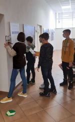 Fotografie 20220304-100902_original.jpg