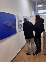 Fotografie 20220308-084750_original.jpg