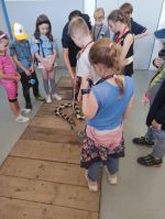 Fotografie img-20220516-131915_original.jpg