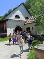 Fotografie img-20220518-123056_original.jpg