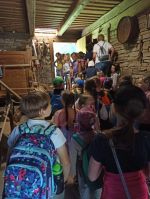 Fotografie img-20220518-124951_original.jpg