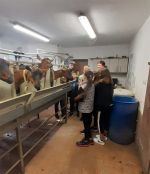 Fotografie 20220530-083607_original.jpg