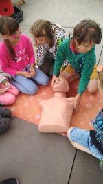 Fotografie img-20220607-wa0019_original.jpg