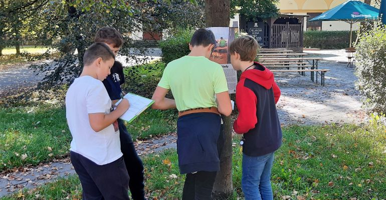 Výstava na stromech - Kávová krize