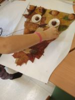 Fotografie img-20221021-wa0004_original.jpg