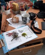 Fotografie 20230323-114339_original.jpg