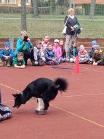 Fotografie img-20230324-125039_original.jpg