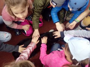 Obrázek k aktualitě Psí agility 24.3.2023