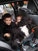 Fotografie img-20230325-wa0000_original.jpg