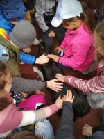 Fotografie img-20230325-wa0015_original.jpg