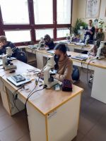 Fotografie 20230330-095126_original.jpg