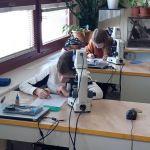 Fotografie 20230330-113705_original.jpg