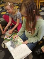 Fotografie img-20230309-125448_original.jpg