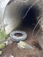 Fotografie 20230418-113330_original.jpg