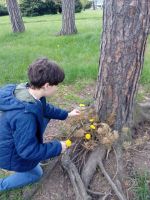 Fotografie img-20230510-131432_original.jpg