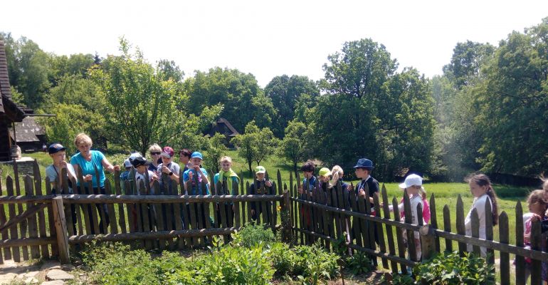 Bylinková přednáška