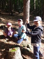 Fotografie 20230615-084831_original.jpg