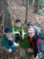 Fotografie 20230615-085025_1_original.jpg