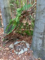 Fotografie 20230615-092655_original.jpg