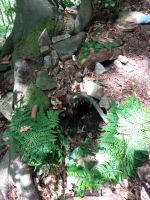 Fotografie 20230615-092757_original.jpg