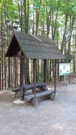 Fotografie 20230616-092637_original.jpg