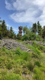 Fotografie 20230616-100041_1_original.jpg