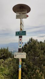 Fotografie 20230616-110655_original.jpg