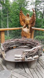 Fotografie 20230616-124149_original.jpg