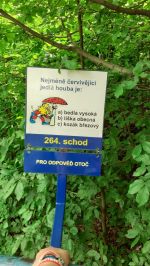 Fotografie 20230616-125134_original.jpg