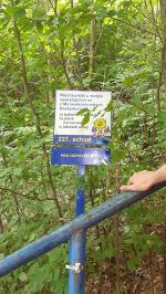 Fotografie 20230616-125220_original.jpg