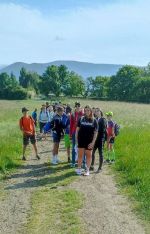 Fotografie cesta-na-mraveniste-2_original.jpg