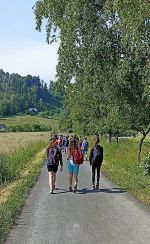 Fotografie cesta-na-mraveniste-3_original.jpg