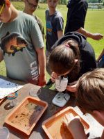 Fotografie eko-5_original.jpg