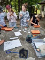 Fotografie eko-6_original.jpg