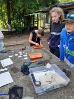 Fotografie eko-7_original.jpg