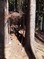 Fotografie vytvarka-11_original.jpg