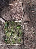 Fotografie vytvarka-12_original.jpg