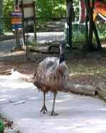 Fotografie 20230921-1215061_original.jpg