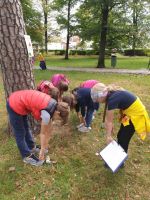 Fotografie 20231013-133807_1_original.jpg